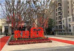 相约幸福,让爱回家,龙信玉园一期盛大交房